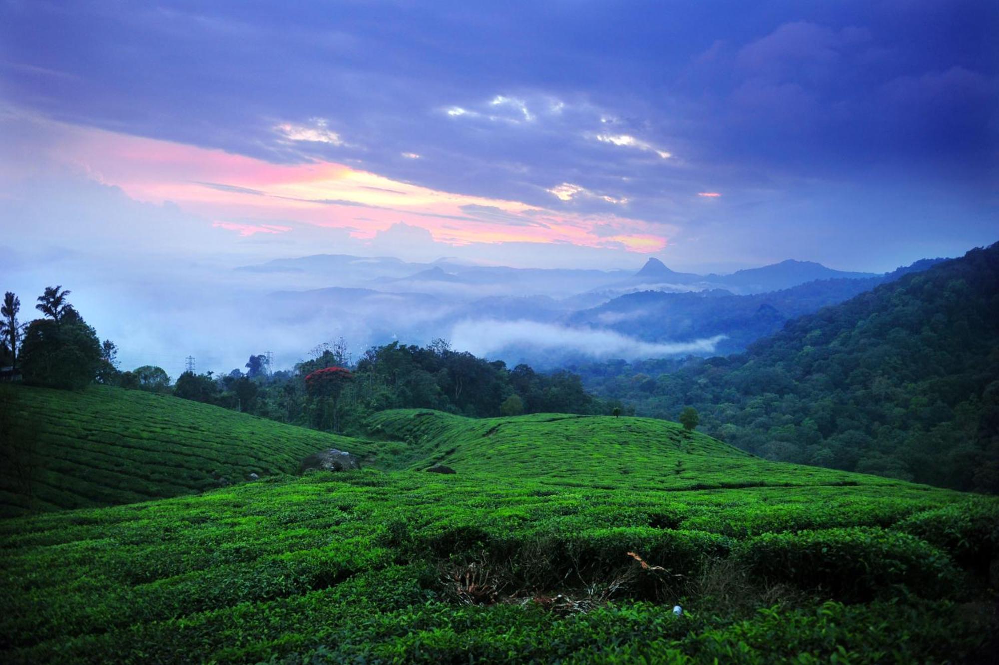 Violet Woods Hotel Munnar Exterior photo